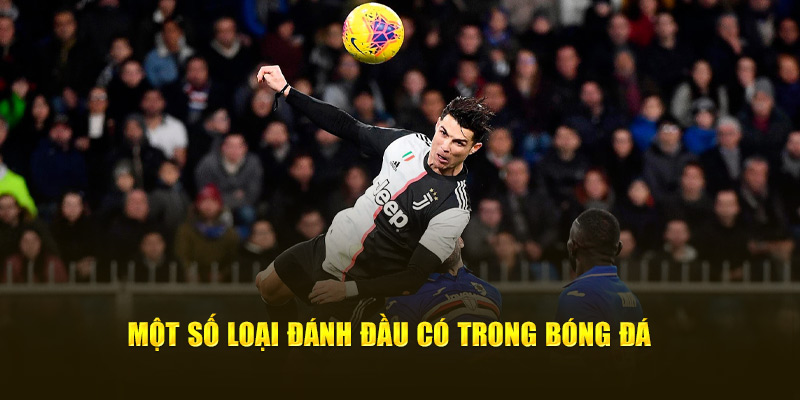 Bật Mí Về Những Kỹ Thuật Đánh Đầu Cho Thành Viên Cakhia TV 3 Một số loại đánh đầu có trong bóng đá