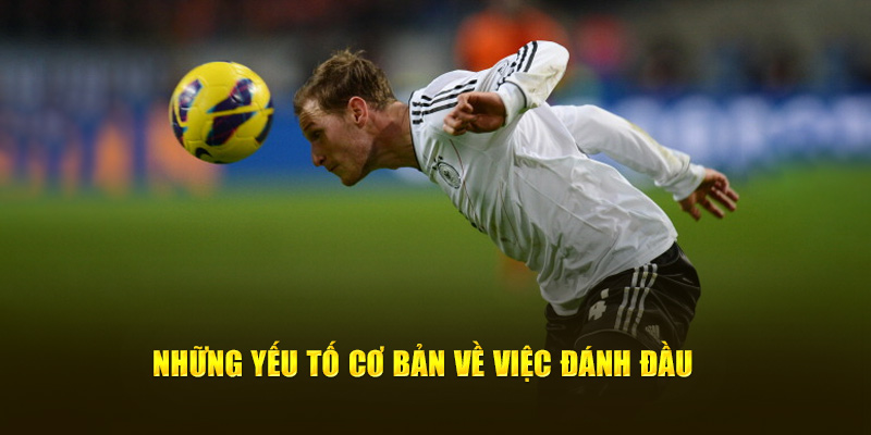 Bật Mí Về Những Kỹ Thuật Đánh Đầu Cho Thành Viên Cakhia TV 2 Những yếu tố cơ bản về việc đánh đầu