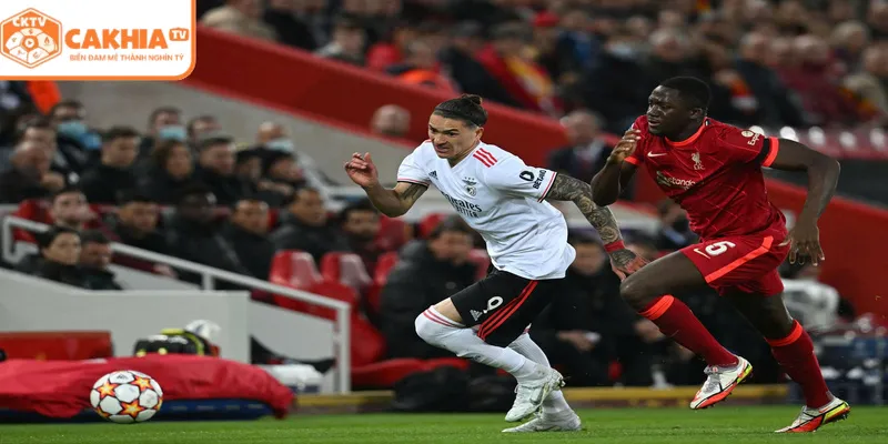 Các cột mốc lịch sử trong hành trình phát triển của giải đấu